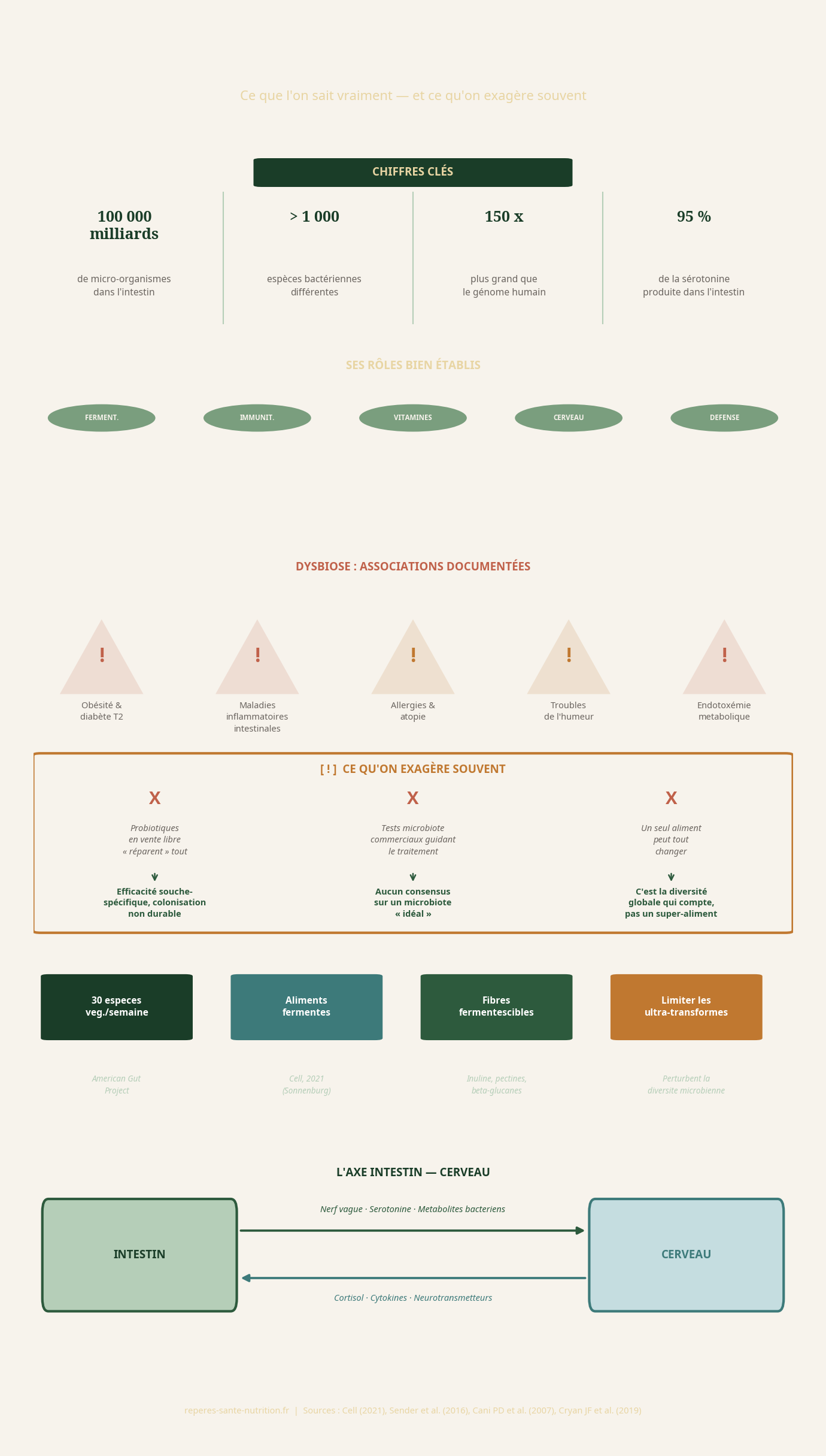 Infographie : Le microbiote intestinal — ce que l'on sait vraiment et ce qu'on exagère souvent